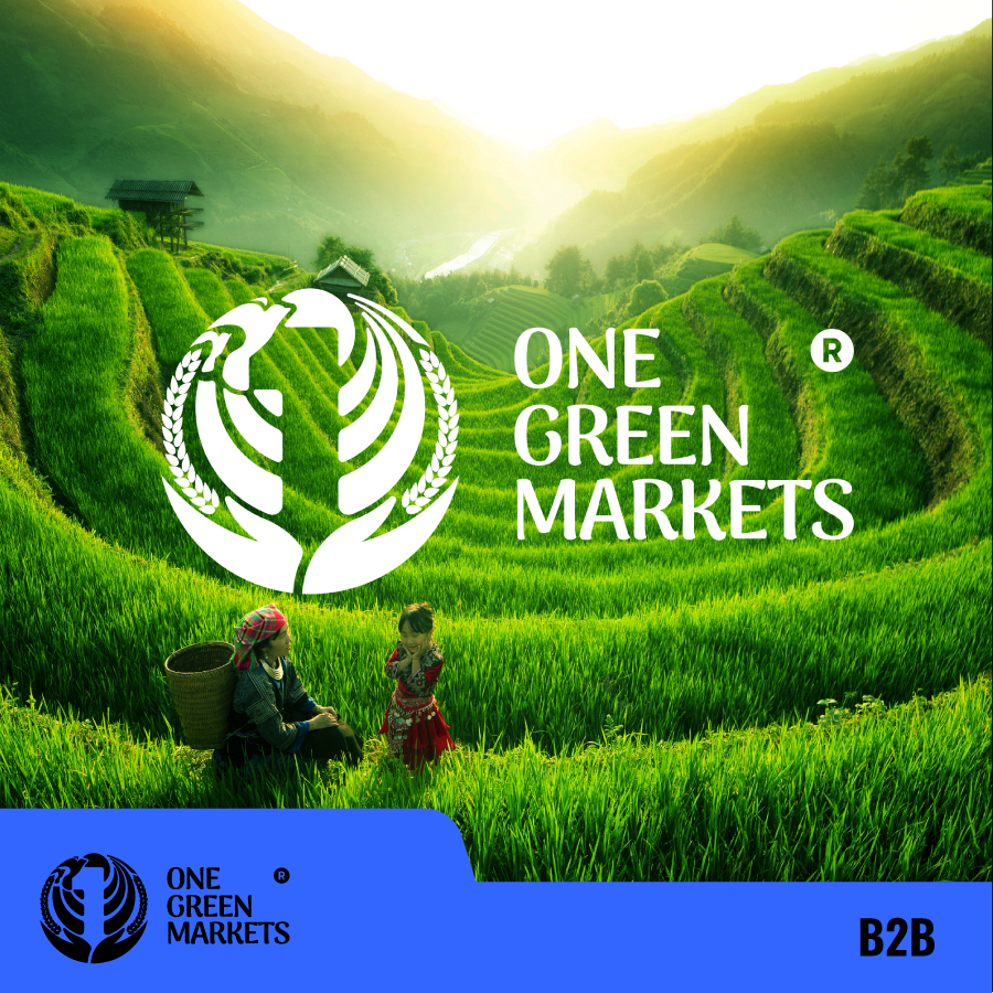Xây dựng Bản sắc thương hiệu B2B: ONE GREEN MARKETS