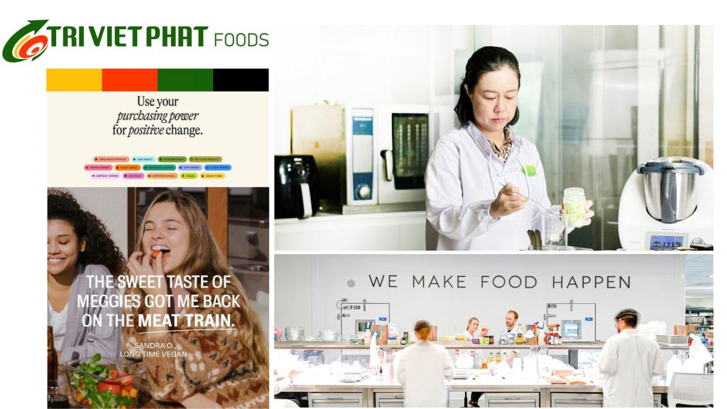 Phương pháp thiết kế thương hiệu Trí Việt Phát Foods